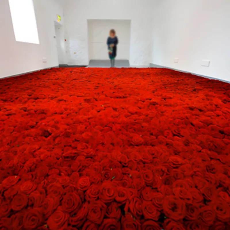 Paradise 10001 Red Roses - Flowers gift from Buy Any Flowers Dubai in Al Quoz Industrial Area 4, Dubai, UAE