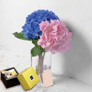 cheer-up-and-patchi-chocolates_1.webp