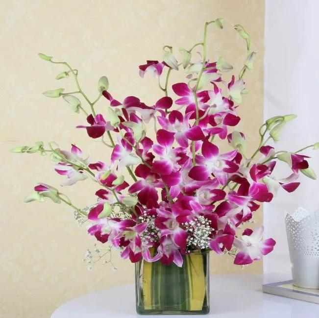 serenity-by-flowers_1.webp