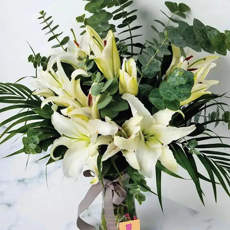 Backyard Beauty thumbnail 2