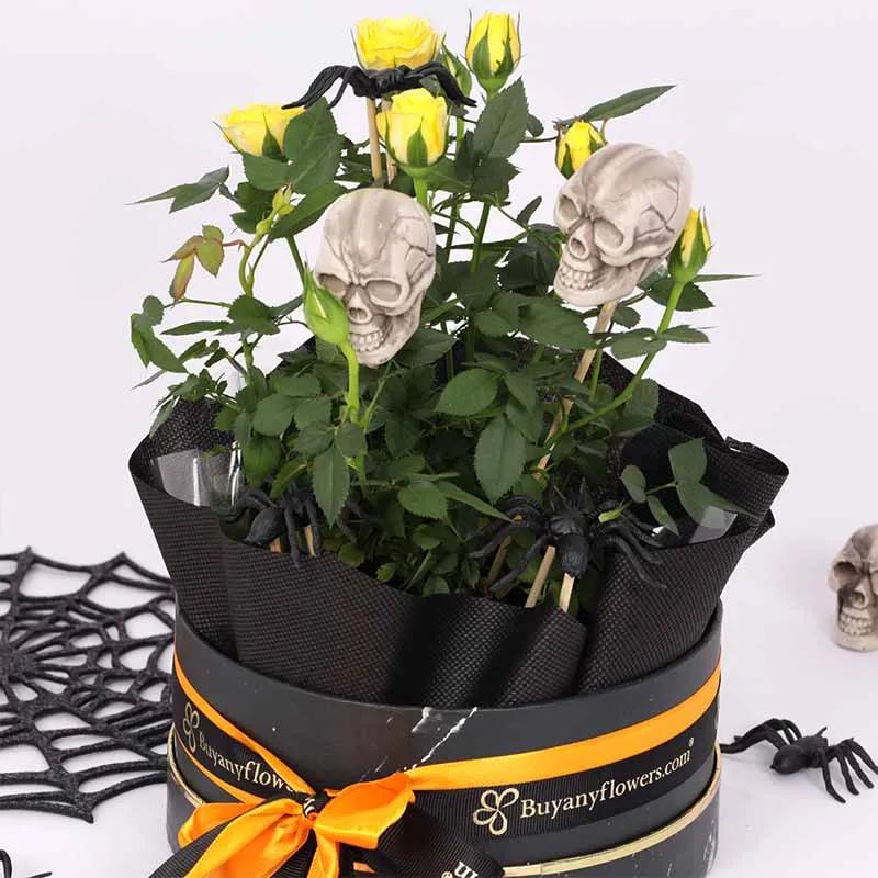 Halloween Yellow Rose Plant - Plants gift from Buy Any Flowers Dubai in Al Quoz Industrial Area 4, Dubai, UAE - image 2