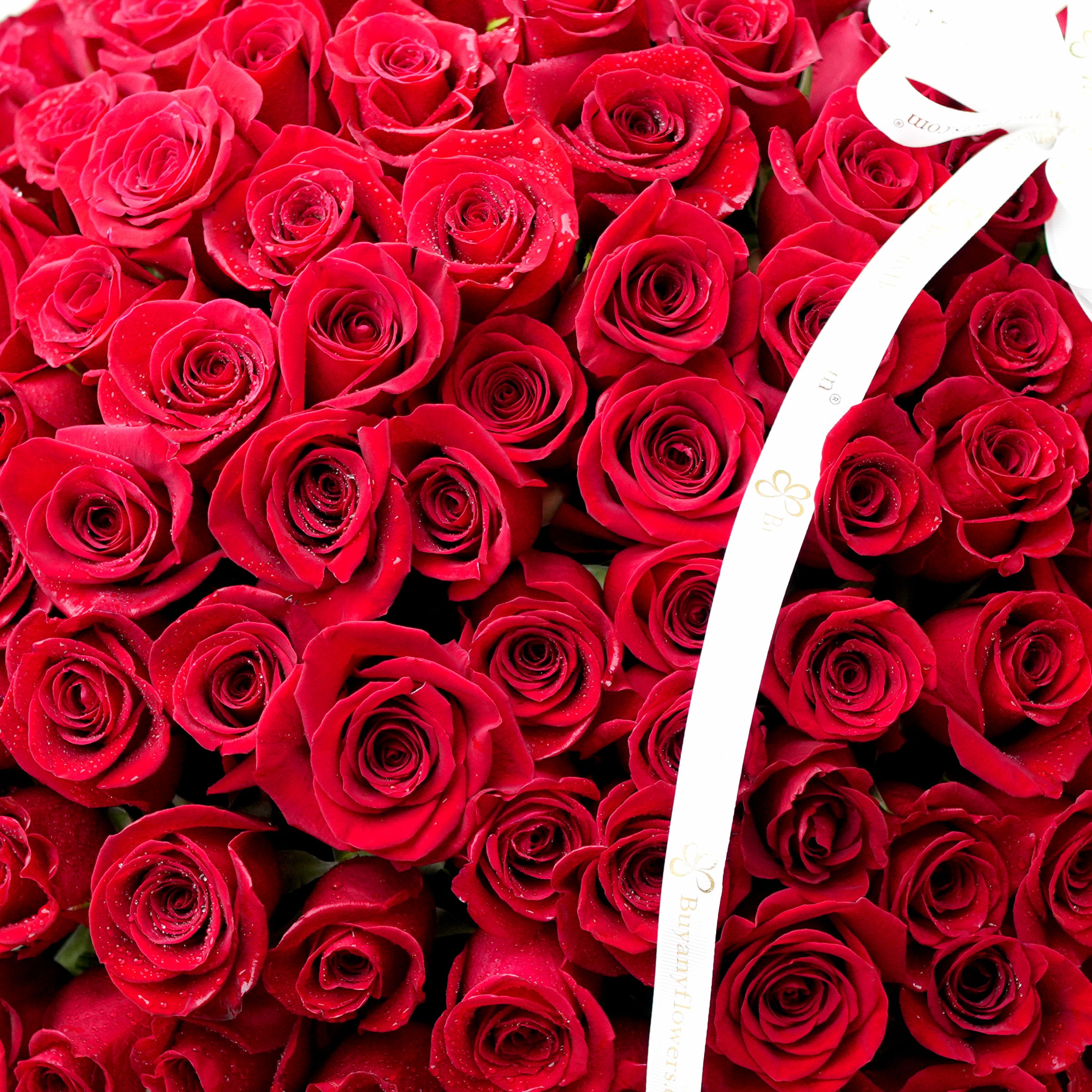 Love 201 Red Roses Arrangement thumbnail 3
