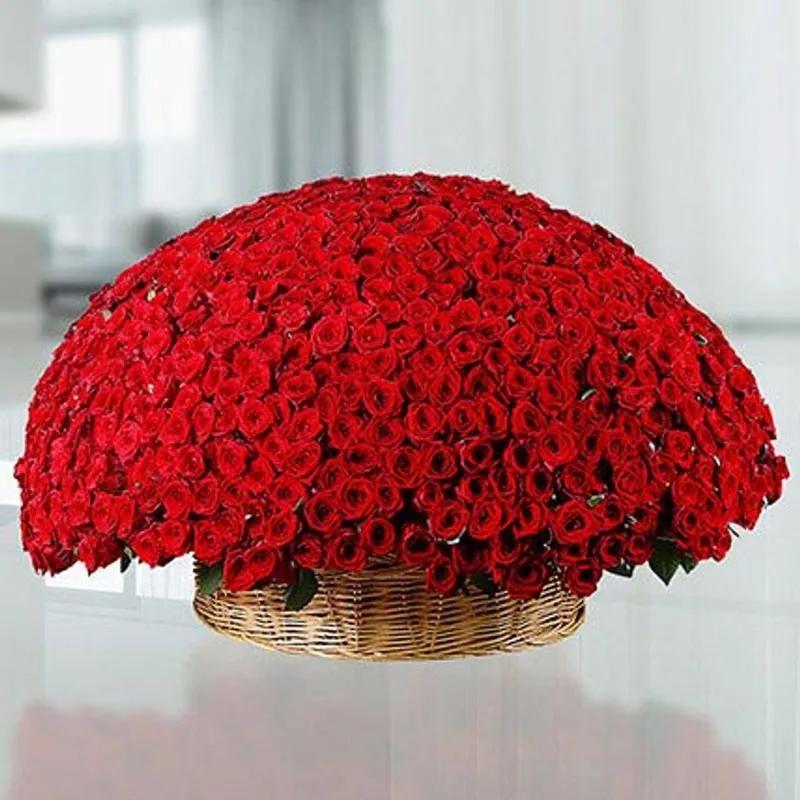 valentineallaboutlove801redroses_1cd1b3.webp
