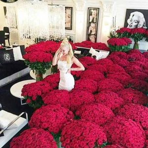 room-full-of-roses-5001-red-roses_1.webp