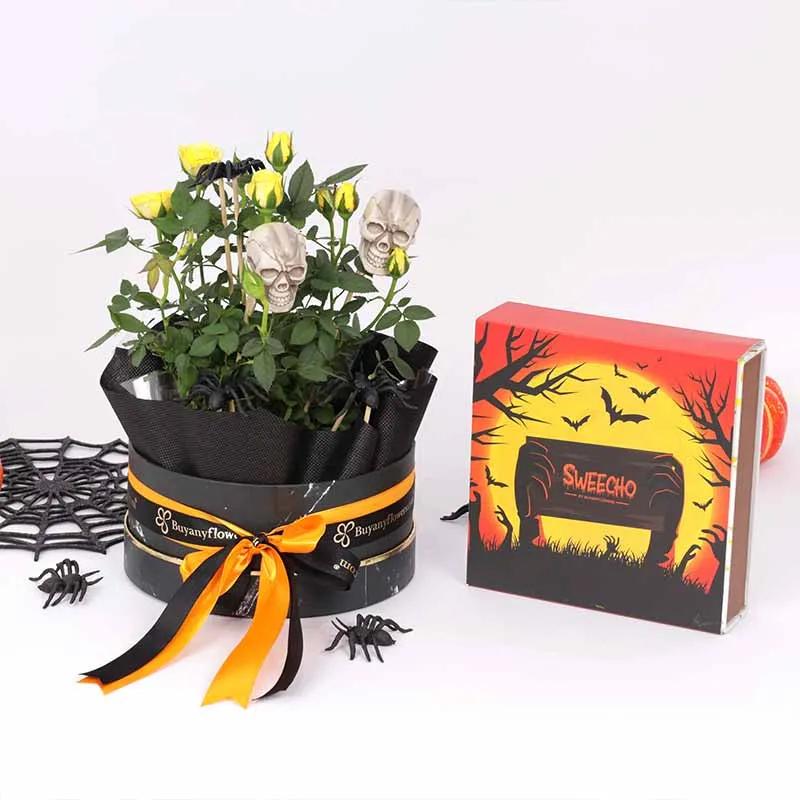 Halloween Yellow Rose Plant and Sweecho Chocolates in Dubai