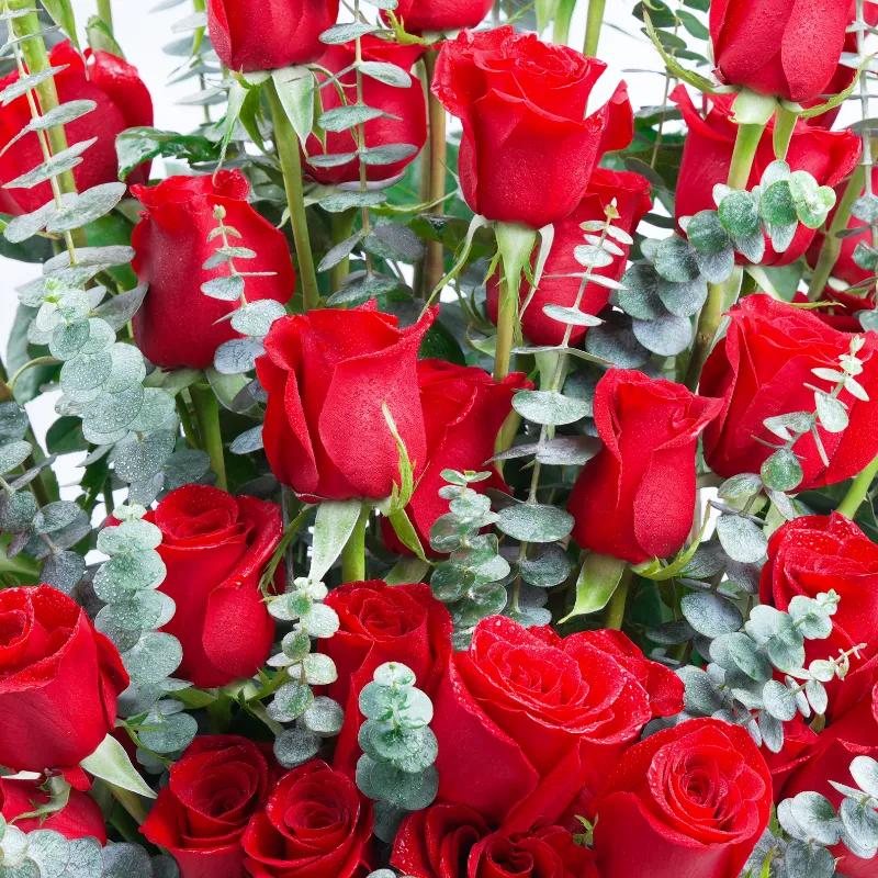 Scarlet Grandeur 51 Red Roses Signature Box - Flowers gift from Buy Any Flowers Dubai in Al Quoz Industrial Area 4, Dubai, UAE - image 2