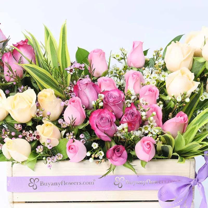 Abundance 31 Roses thumbnail 3