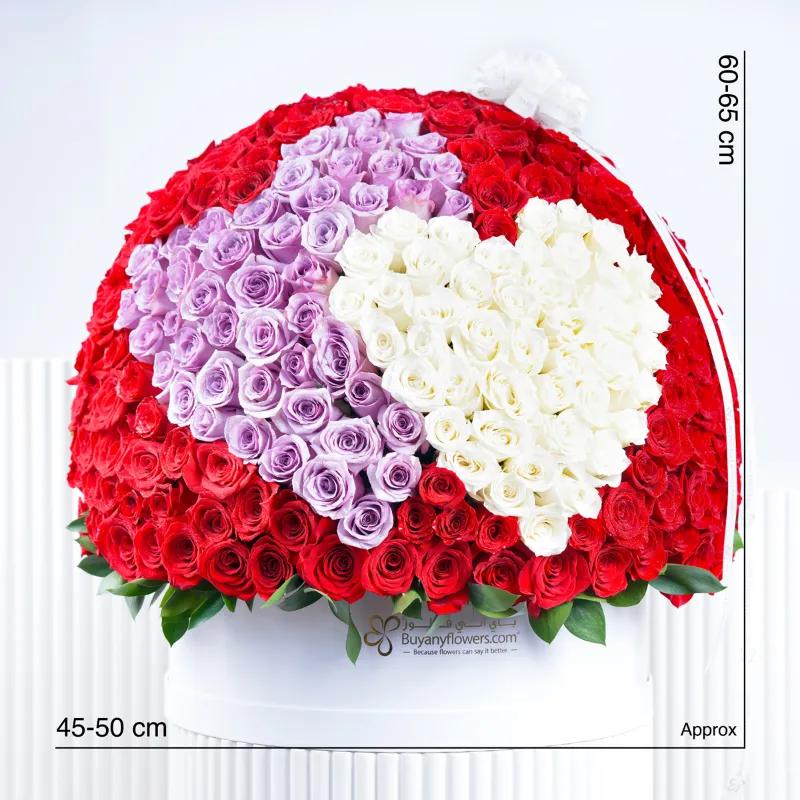 You and I 501 Roses Box - Flowers gift from Buy Any Flowers Dubai in Al Quoz Industrial Area 4, Dubai, UAE - image 3