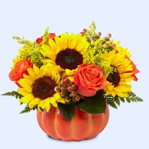eternal-sunshine-arrangement_1.webp