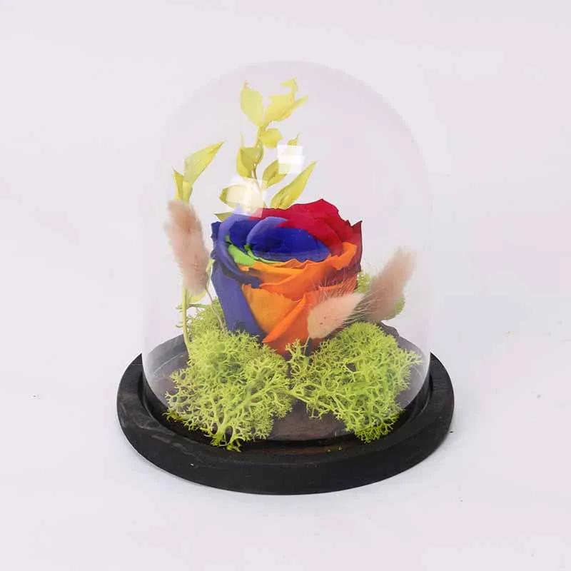 Forever Rainbow Rose in Dome thumbnail 2