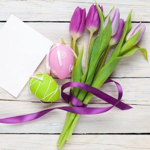 easter-purple-tulips_1.webp