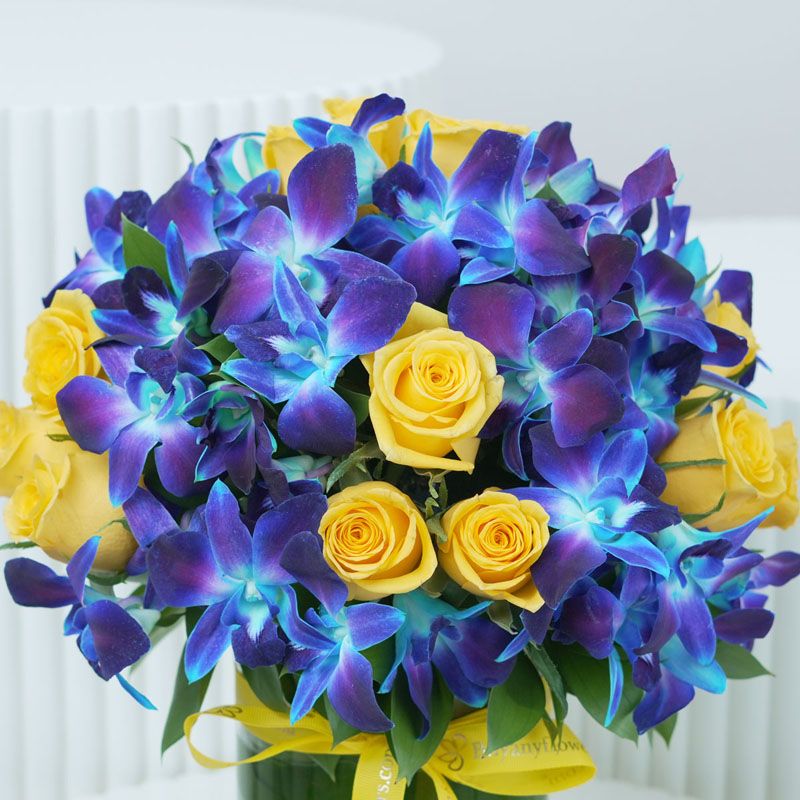 My Guiding Light thumbnail 3