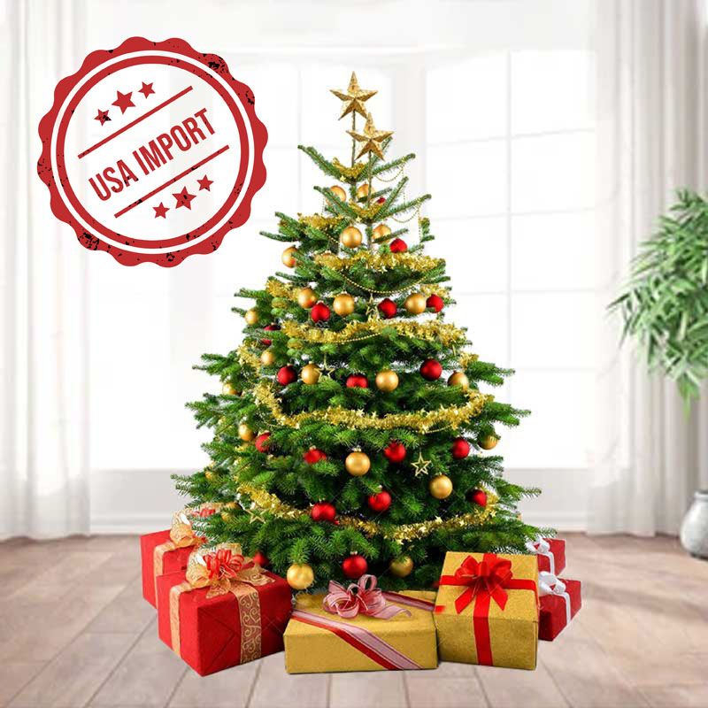 Fresh Premium Christmas Tree 250cm variant