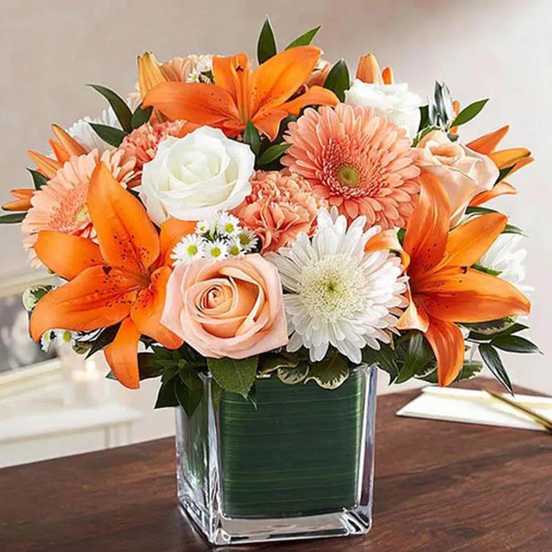 healing-sorrow-orange-and-peach_1.webp