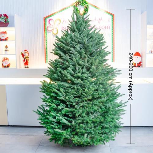 Fresh Premium Christmas Tree 250cm 1