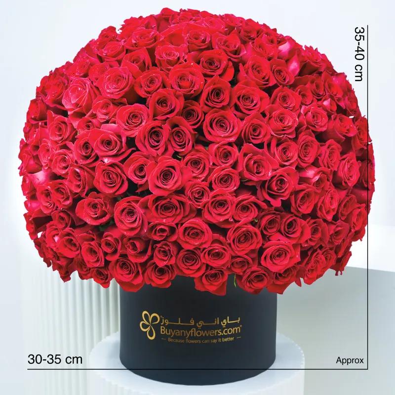 Endless Love 175 Red Roses Box - Flowers gift from Buy Any Flowers Dubai in Al Quoz Industrial Area 4, Dubai, UAE - image 3