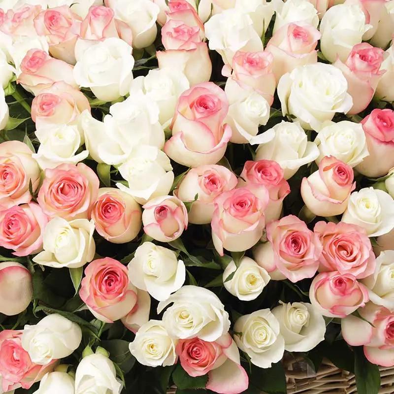 Grand Affection 301 Roses Basket thumbnail 3