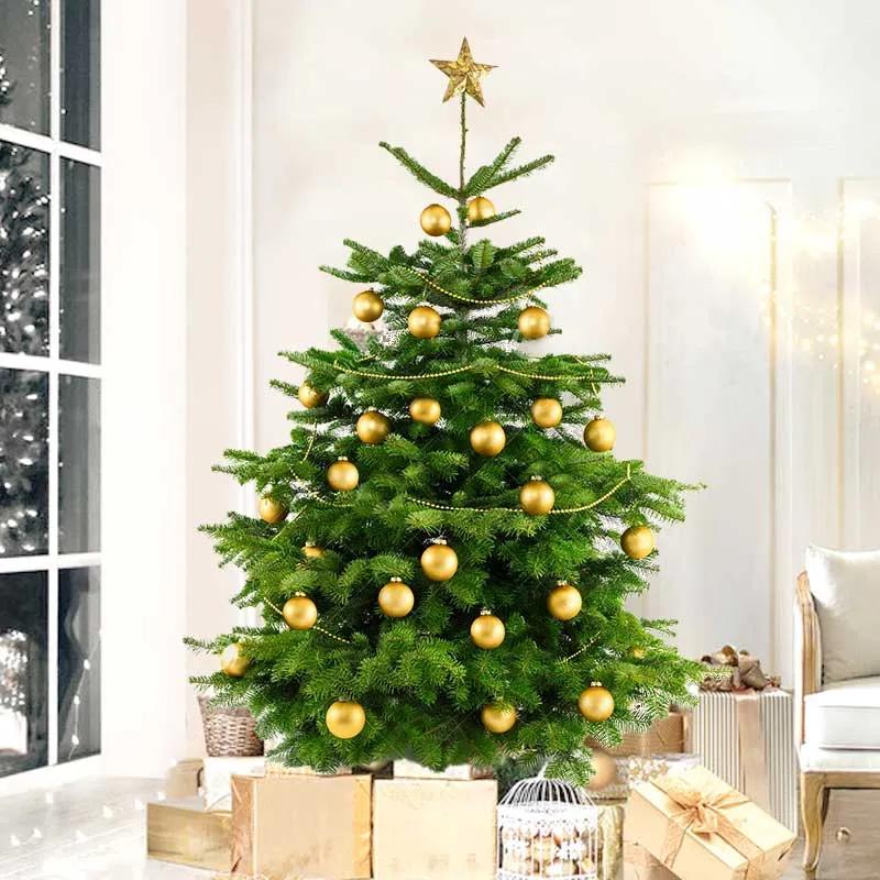 Fresh Premium Christmas Tree 150cm variant