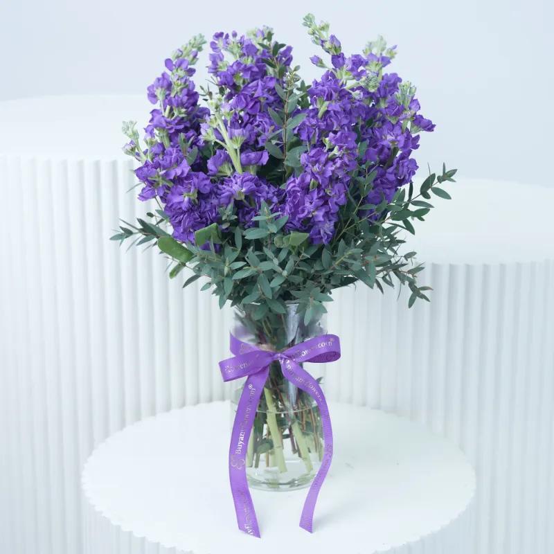 Purple Beauty 11 Matthiola - Flowers gift from Buy Any Flowers Dubai in Al Quoz Industrial Area 4, Dubai, UAE