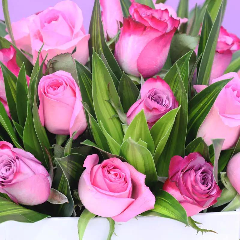 Purple and Pink 21 Roses Box - Flowers gift from Buy Any Flowers Dubai in Al Quoz Industrial Area 4, Dubai, UAE - image 3