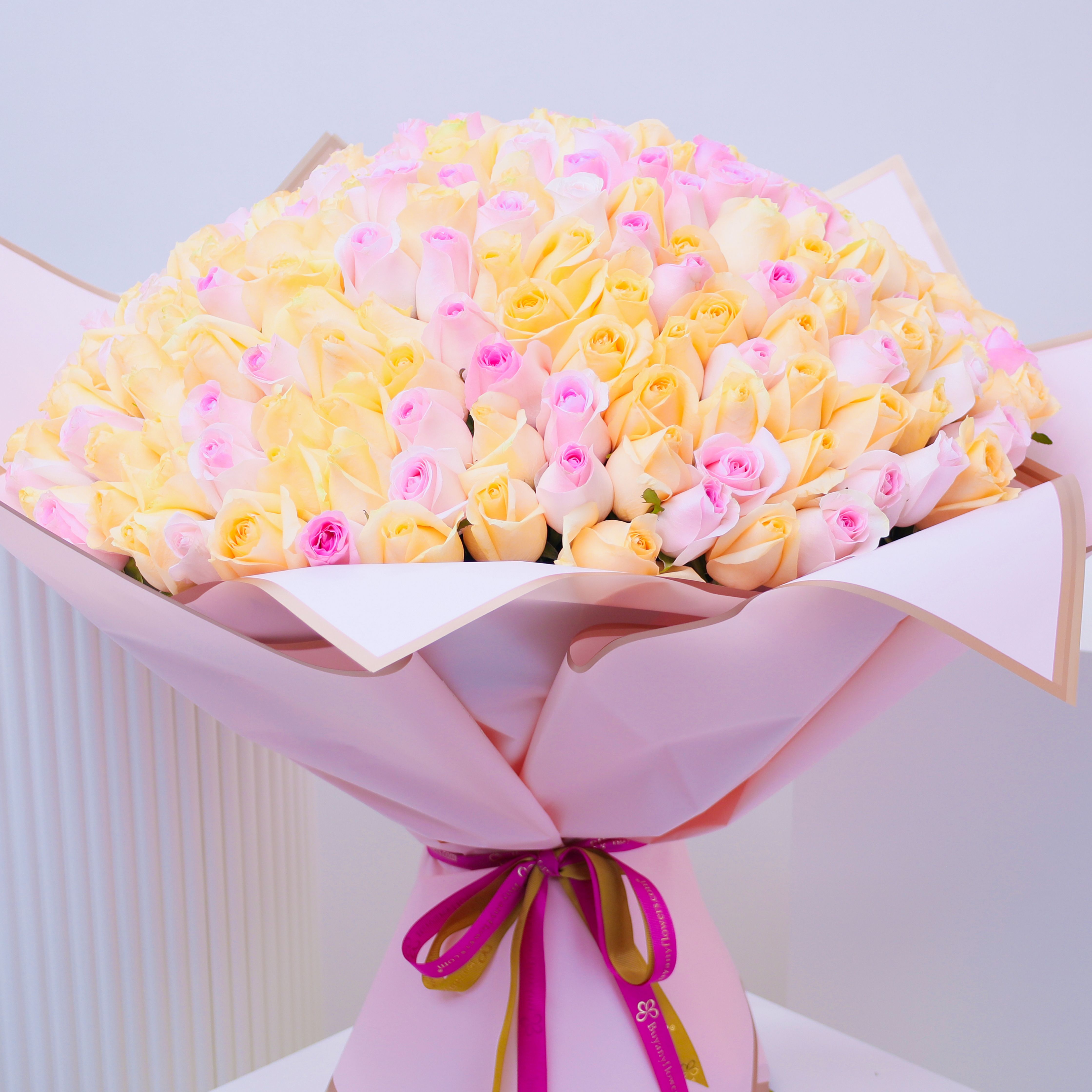 Care 251 Pink and Peach Roses thumbnail 3