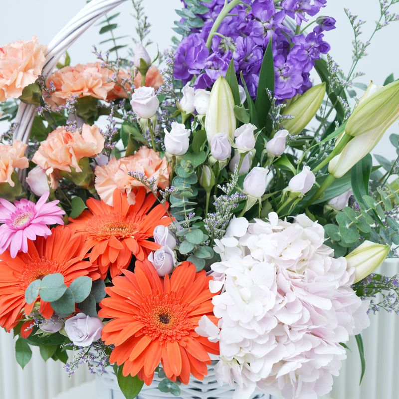 Destined For Her thumbnail 3