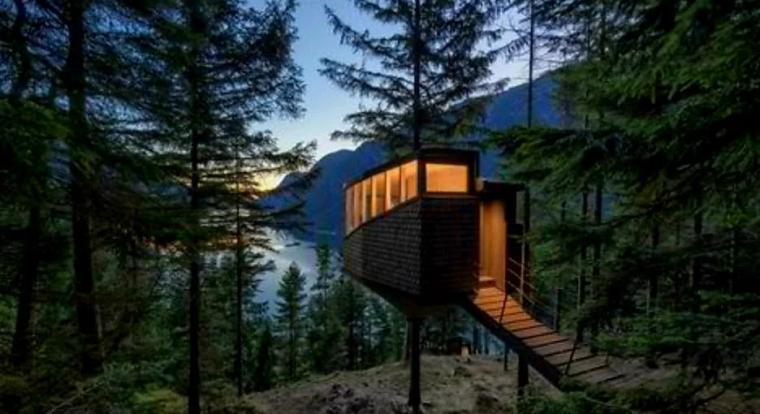 Woodnest - bilde fra galleriet