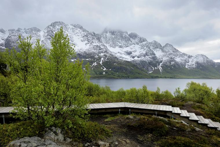 Austnesfjorden - bilde fra galleriet