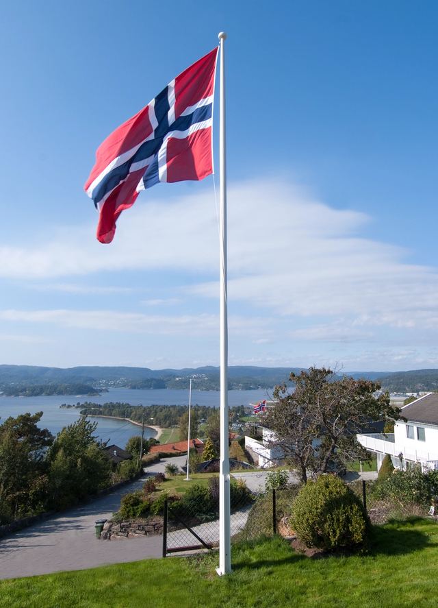 Flaggstang trykkimpregnert laminert furu