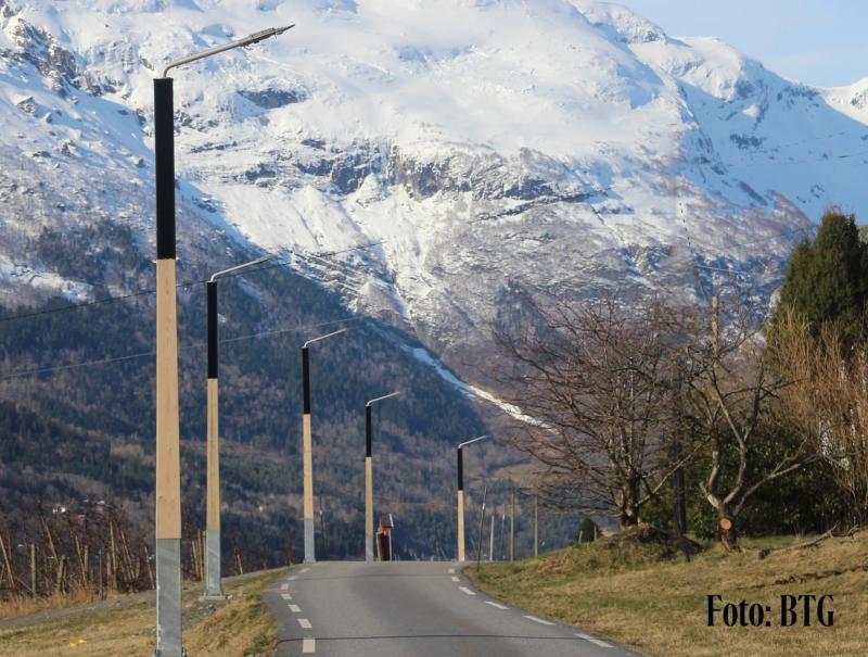 Norskproduserte belysningsmaster i tre - bilde 16