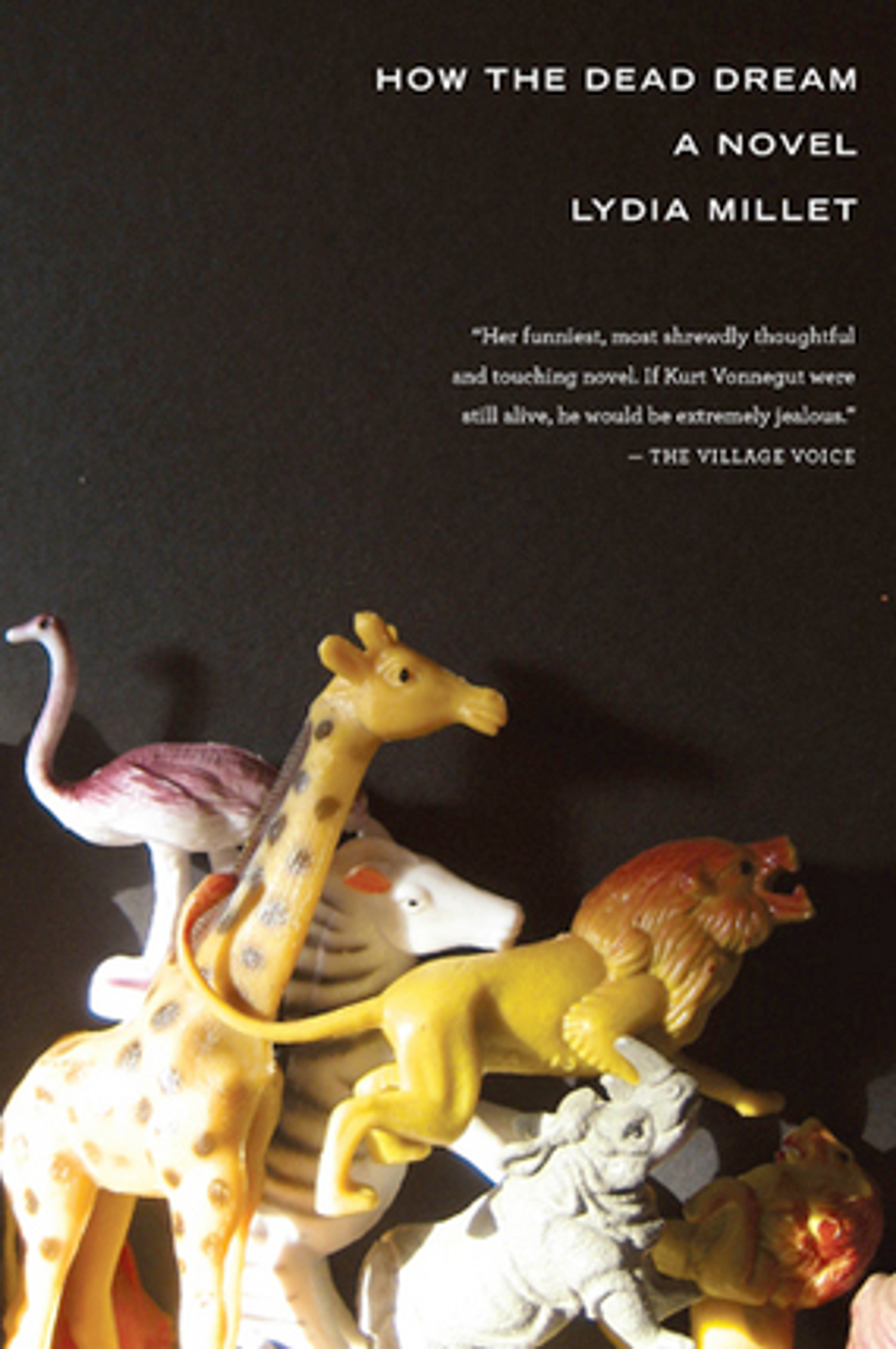 cover of How the Dead Dream