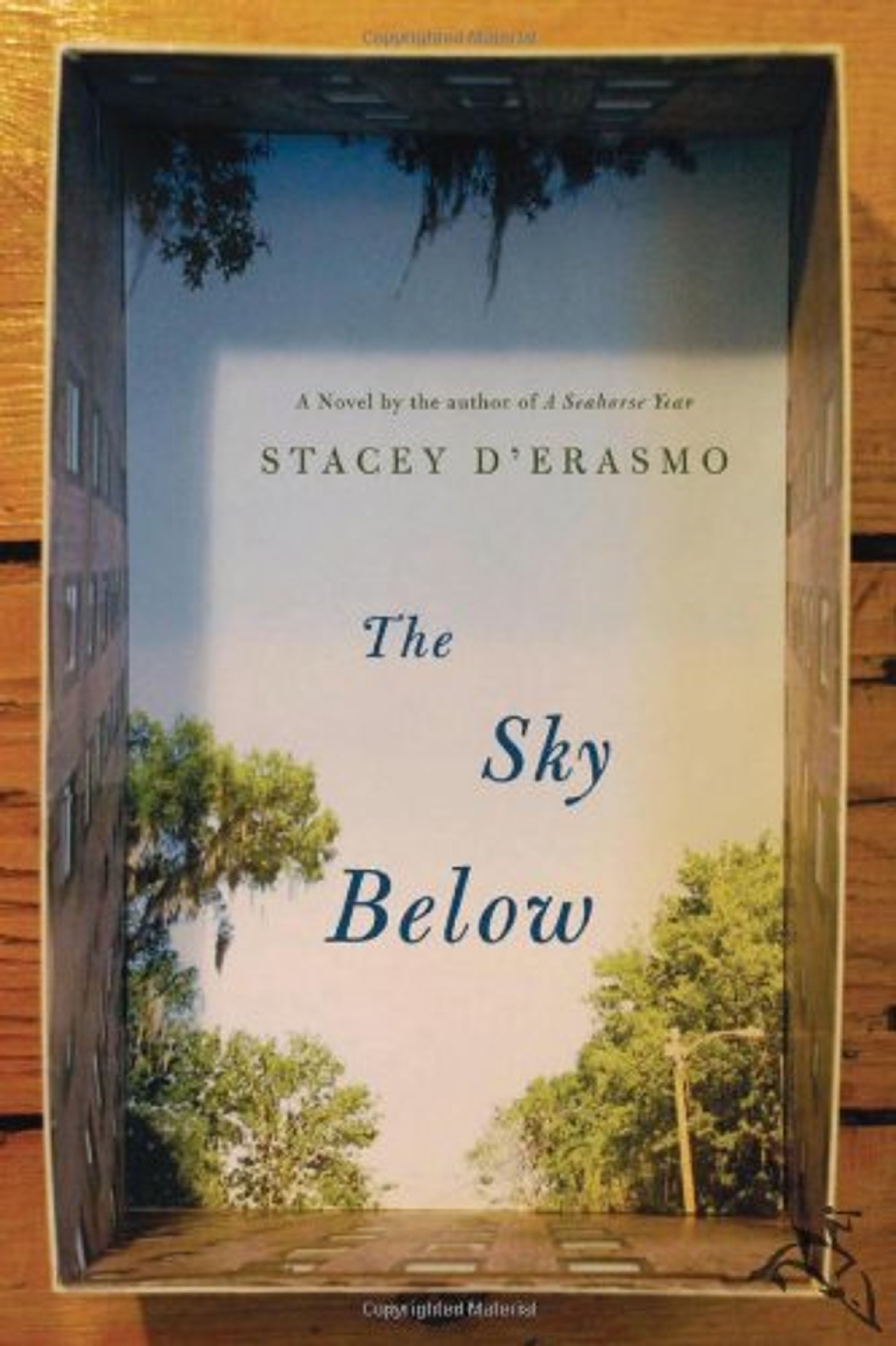 cover of The Sky Below