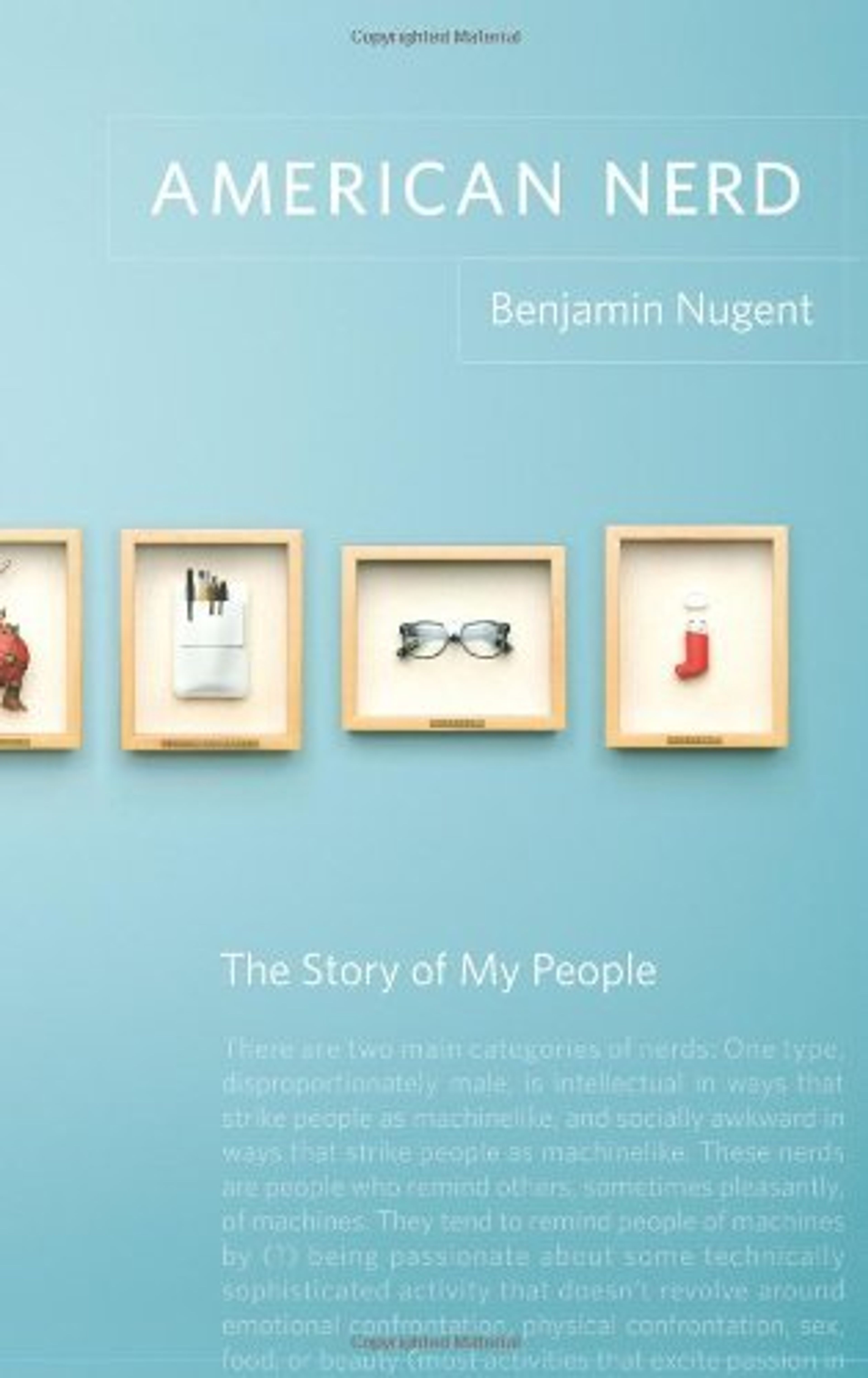 cover of American Nerd