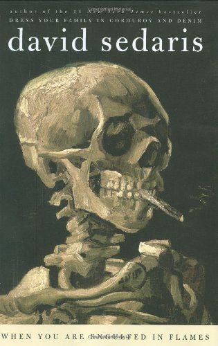 cover of When You Are Engulfed in Flames