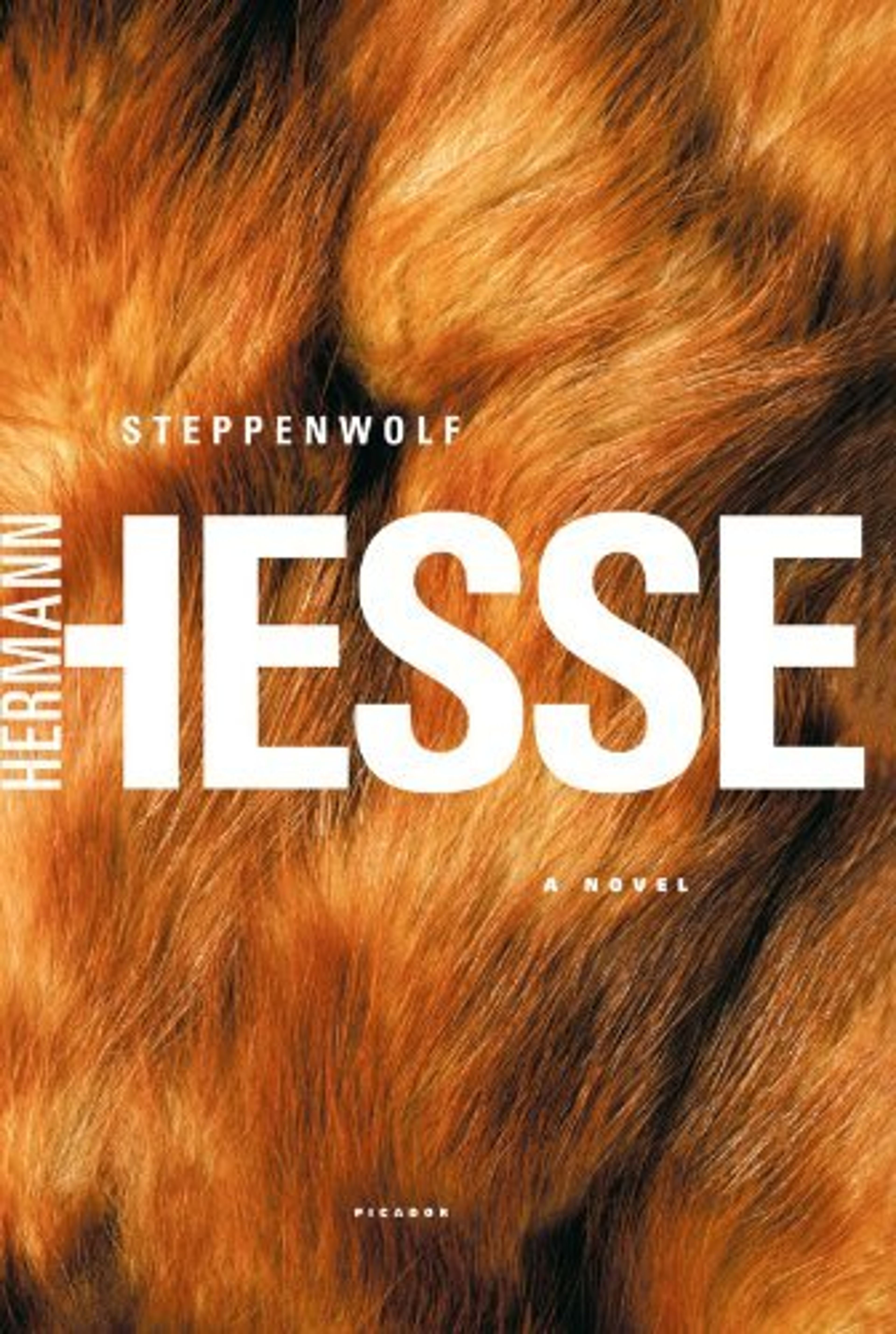 cover of Steppenwolf