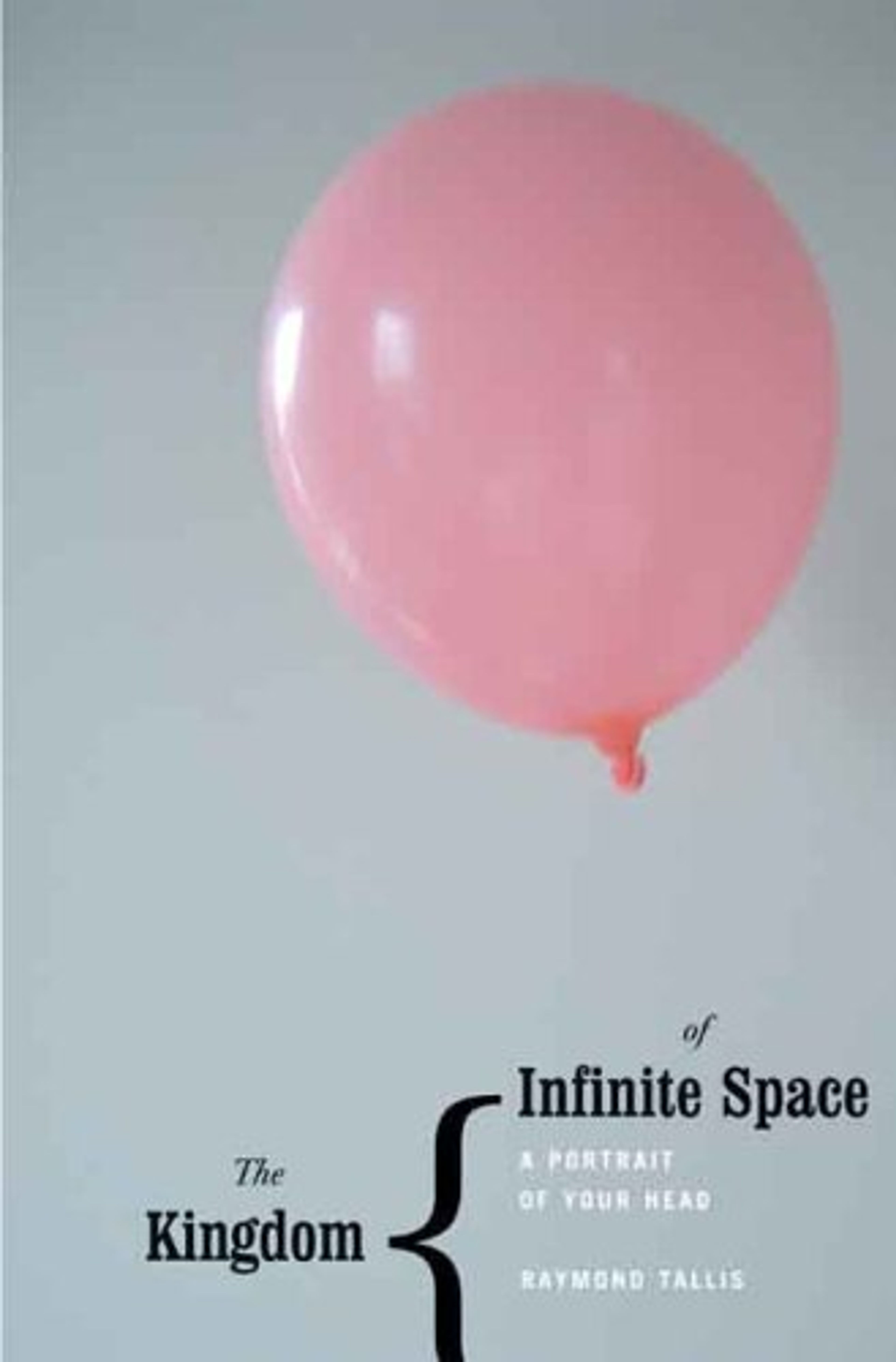 cover of The Kingdom of Infinite Space