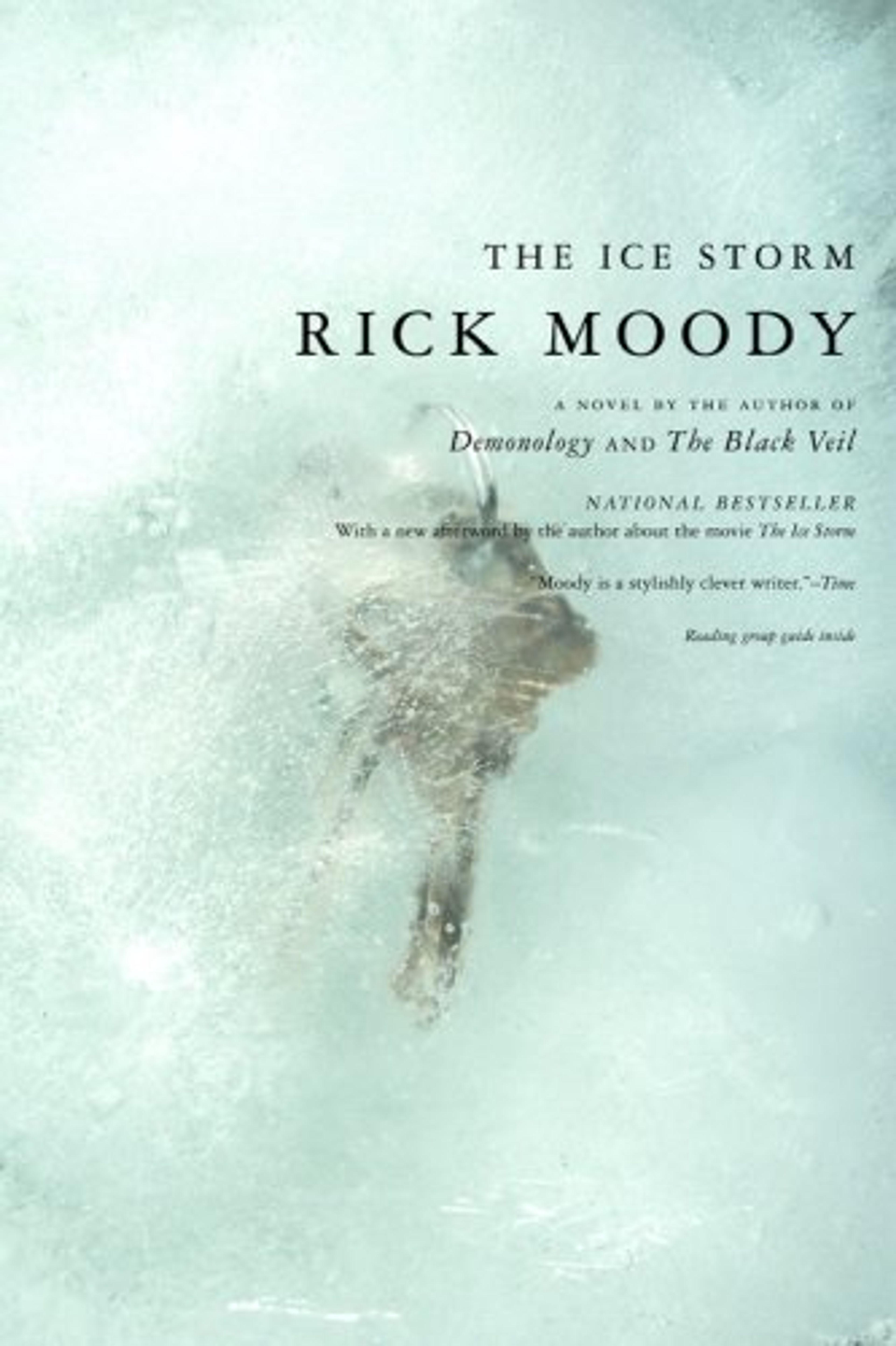 cover of The Ice Storm