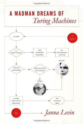 cover of A Madman Dreams of Turing Machines
