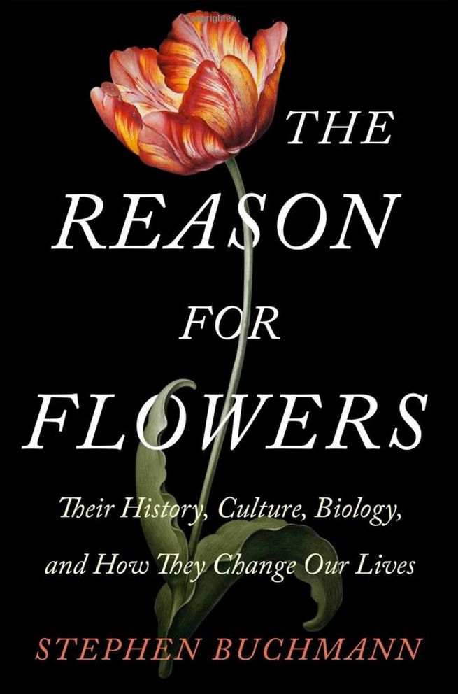 cover of The Reason for Flowers