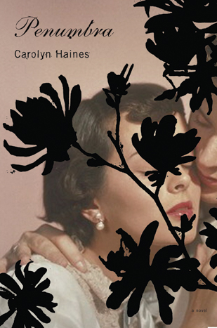 cover of Penumbra