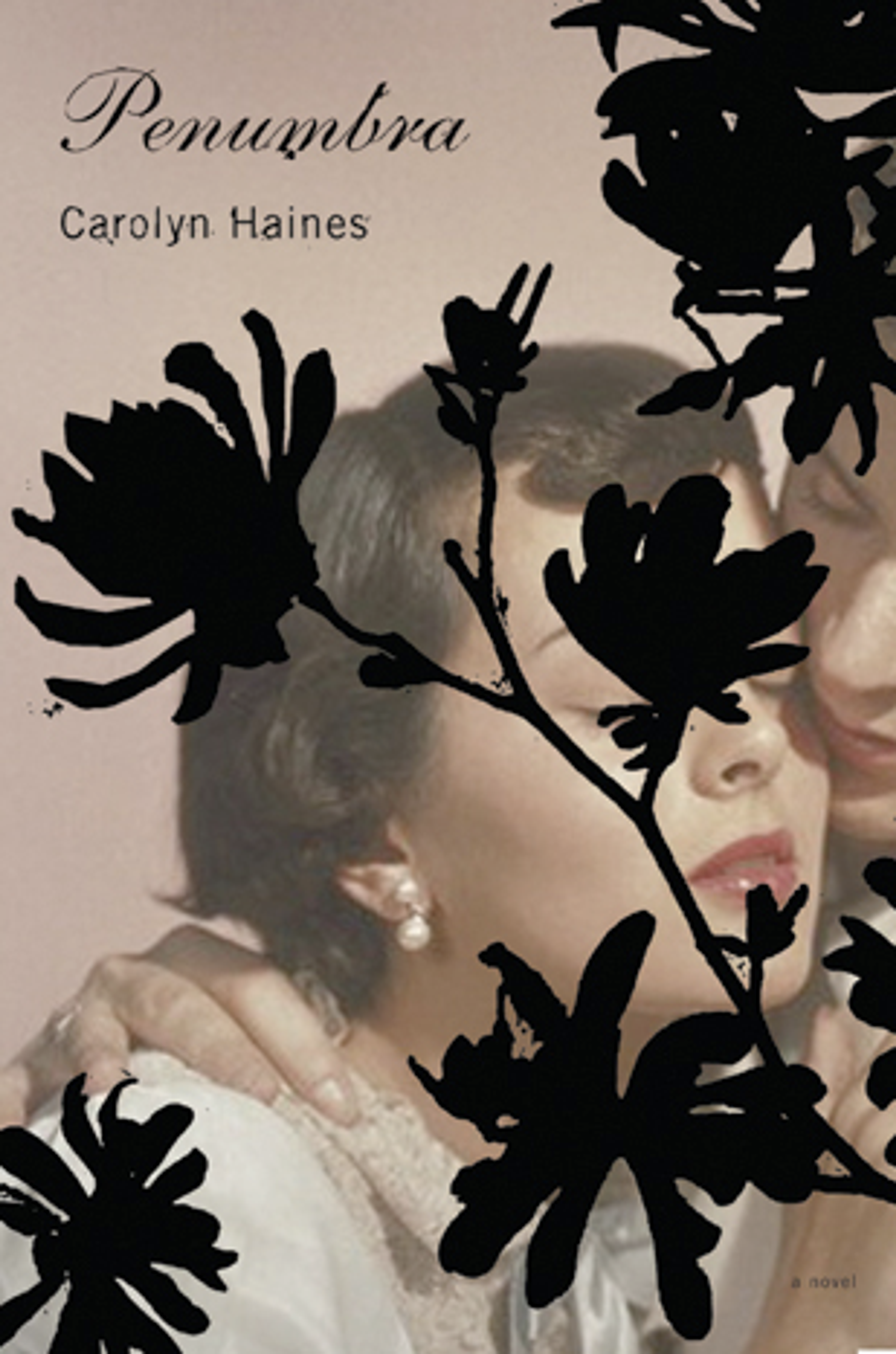 cover of Penumbra