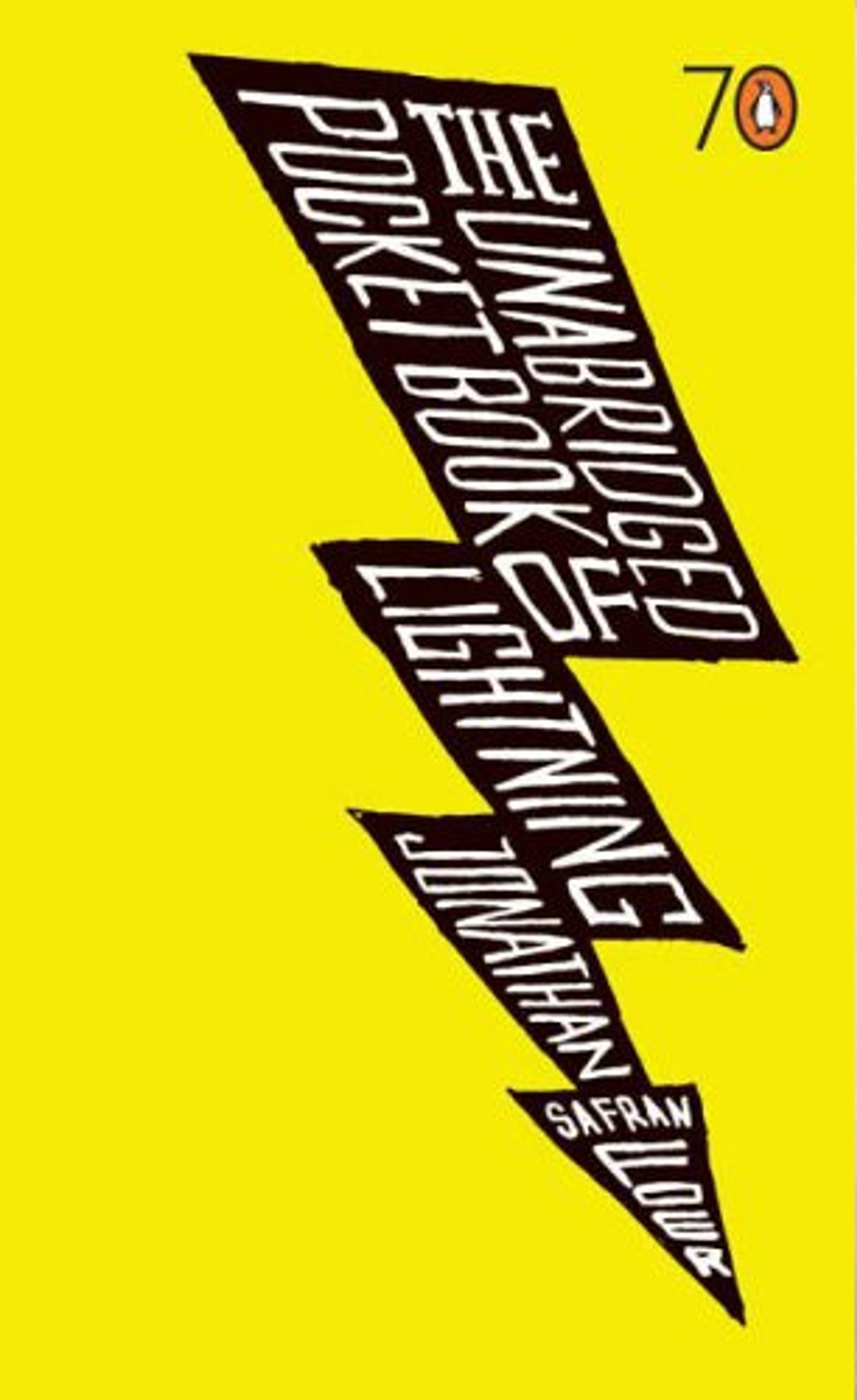 cover of The Unabridged Pocket Book of Lightning