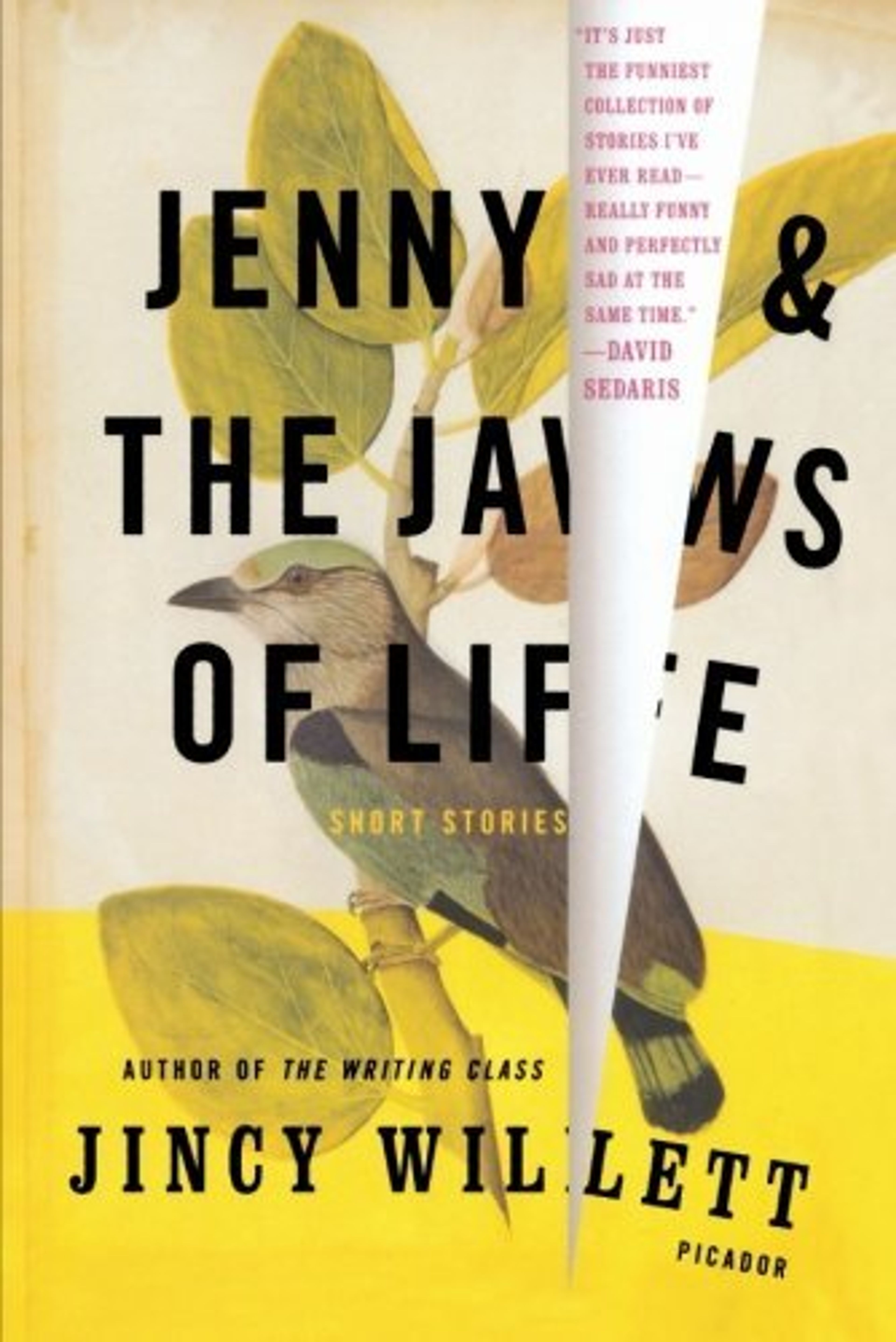 cover of Jenny and the Jaws of Life