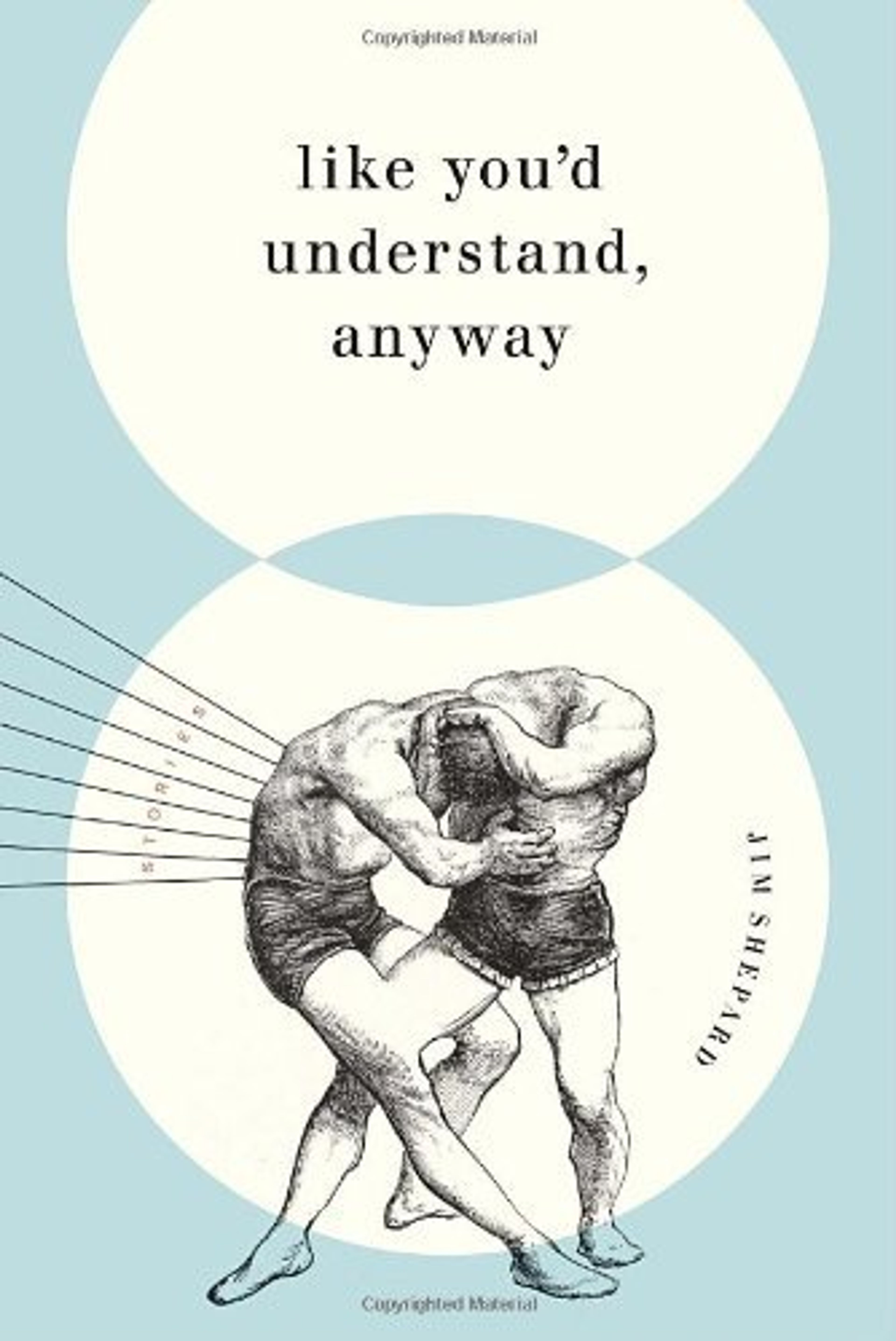 cover of Like You'd Understand, Anyway