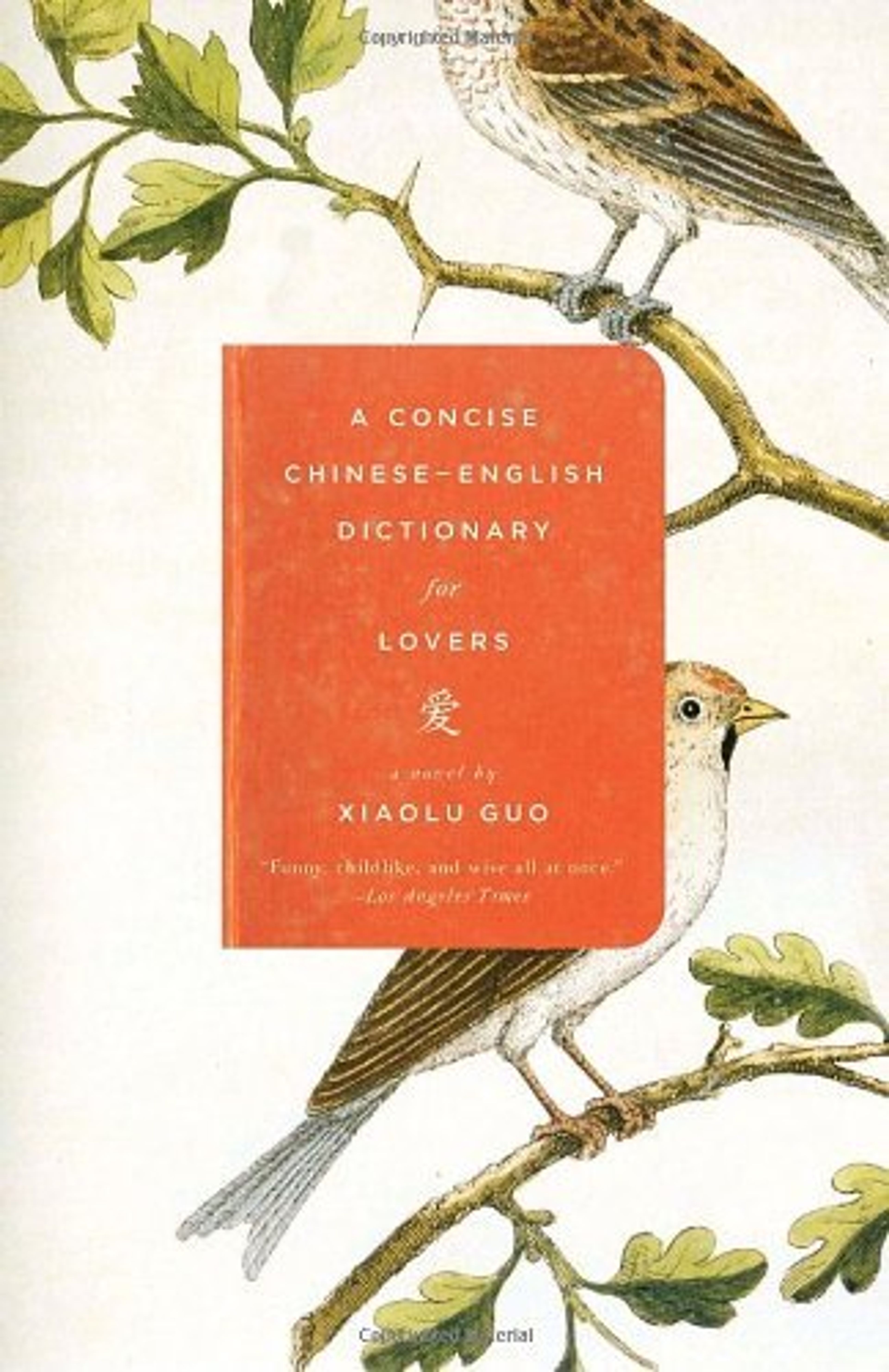cover of A Concise Chinese-English Dictionary for Lovers