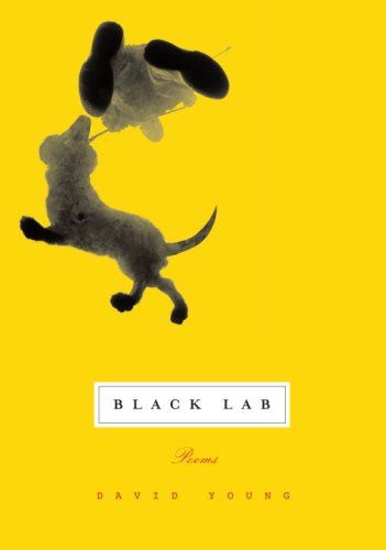 cover of Black Lab