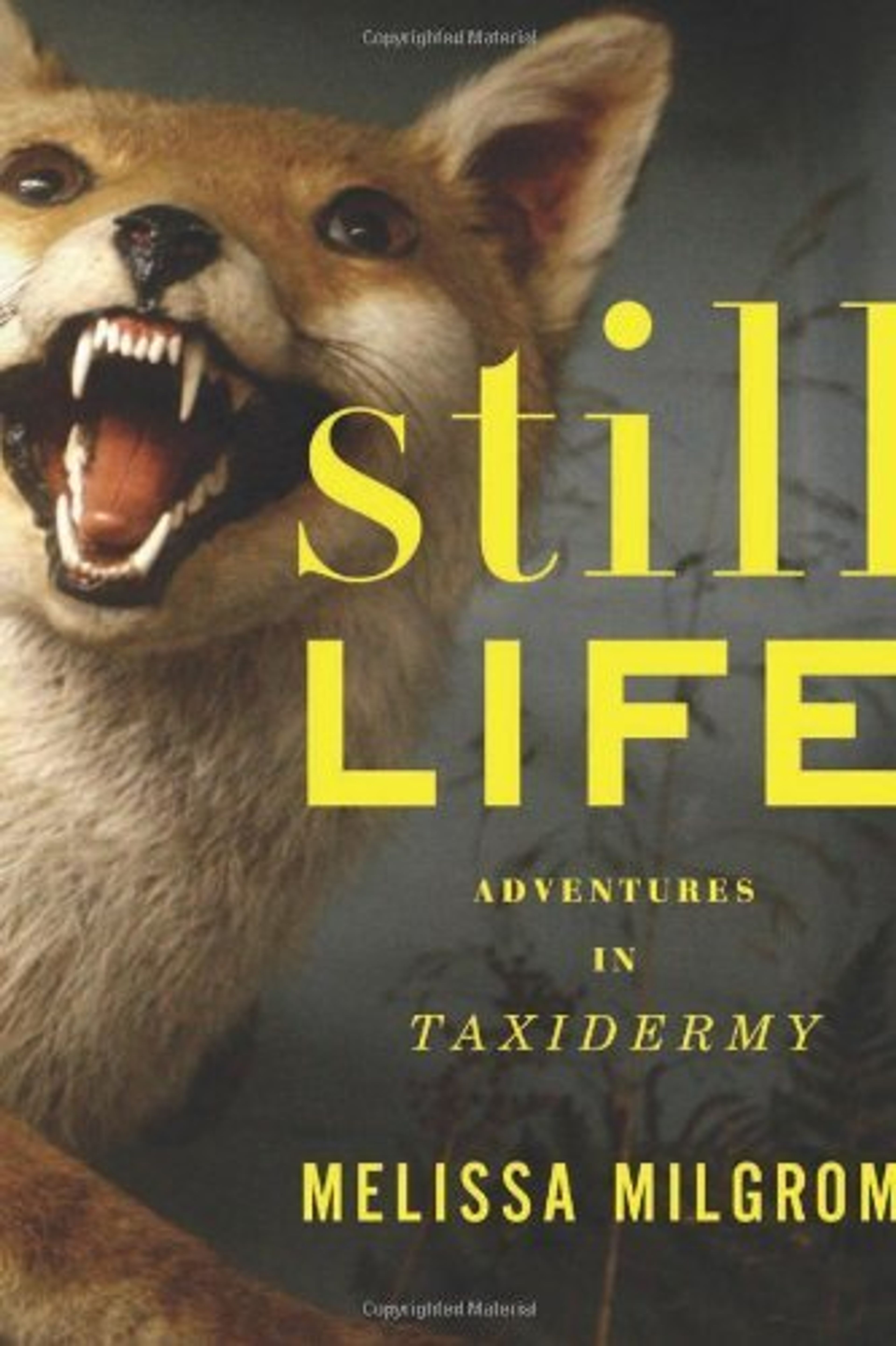 cover of Still Life