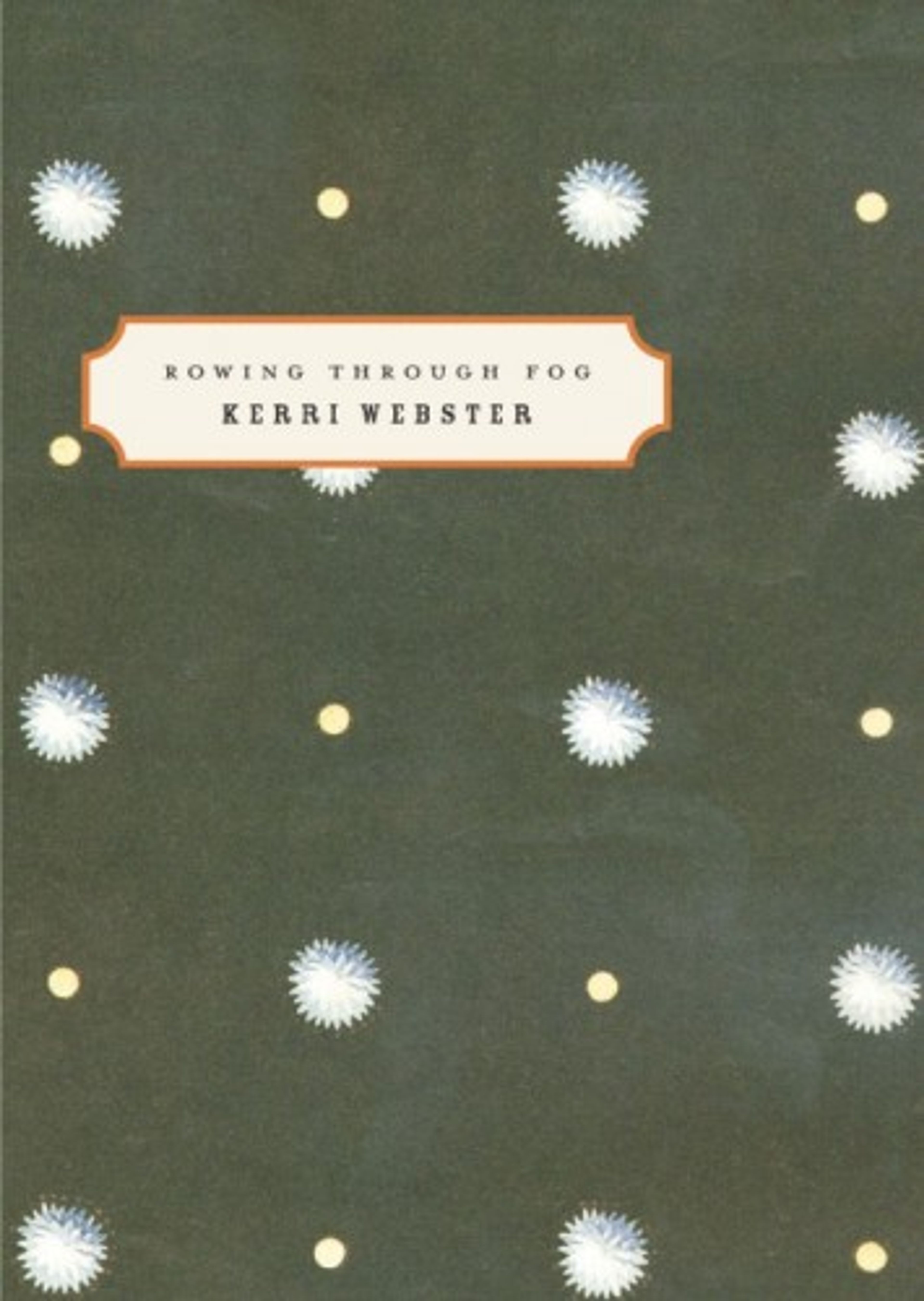 cover of Rowing through Fog