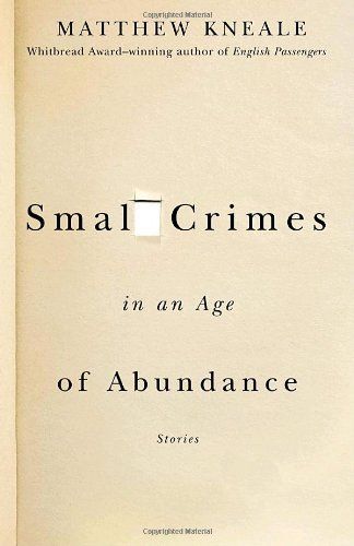 cover of Small Crimes in an Age of Abundance