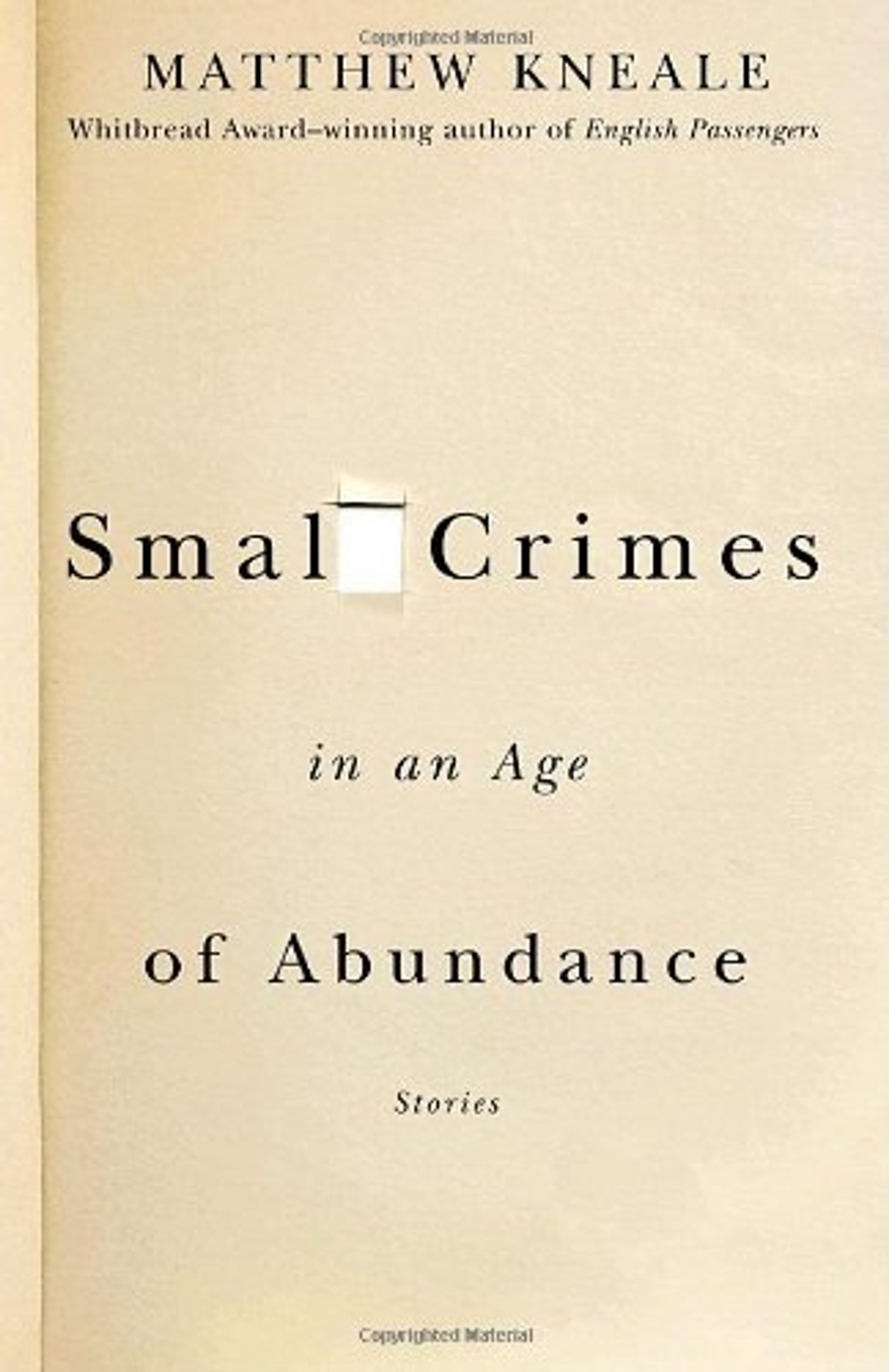 cover of Small Crimes in an Age of Abundance